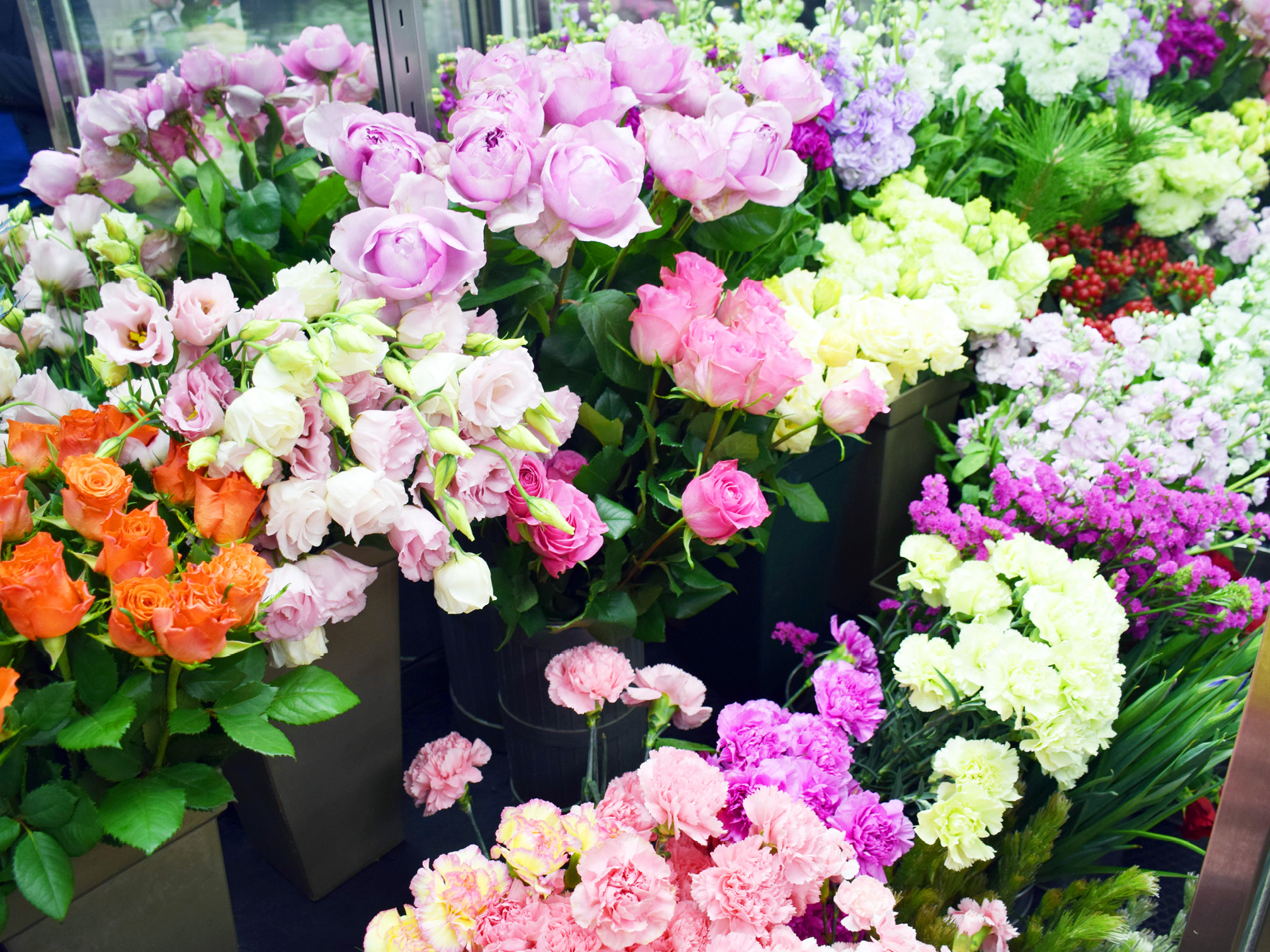 金子生花店の色とりどりの花