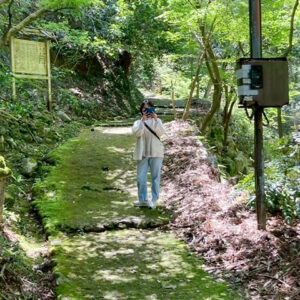 いなみ