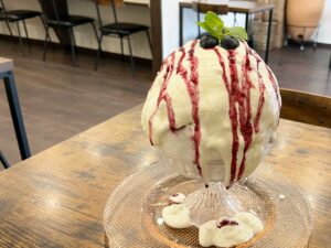 東金沢｜バレーボール級の大きさ！ヨーグルトソースがおいしいふわふわかき氷「不思議なかき氷cafe金沢」