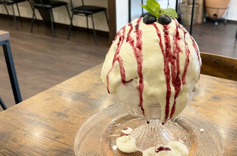 東金沢|バレーボール級の大きさ!ヨーグルトソースがおいしいふわふわかき氷「不思議なかき氷cafe金沢」