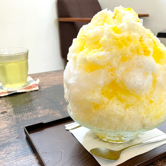 東山｜隠れ家ケーキ屋さんで味わう、心ときめく季節のケーキとかき氷「ELPASO（エルパソ）」