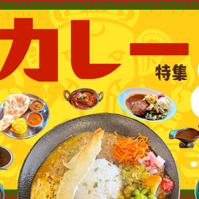 まとめ｜今日の気分はどれ？あなたの「食べたい！」を叶える金沢のおすすめカレー♪