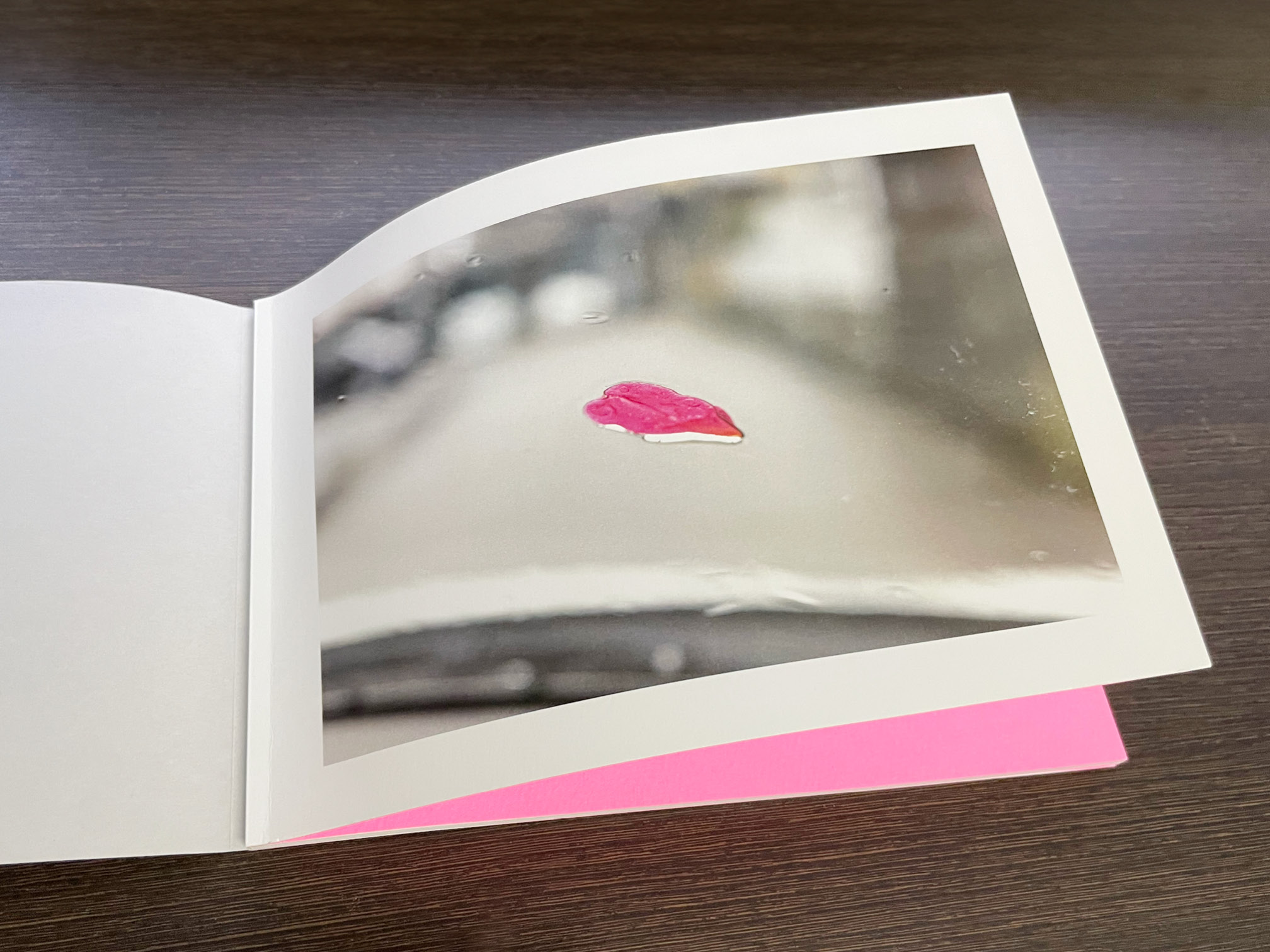 自費出版『たたずまず』表紙の写真