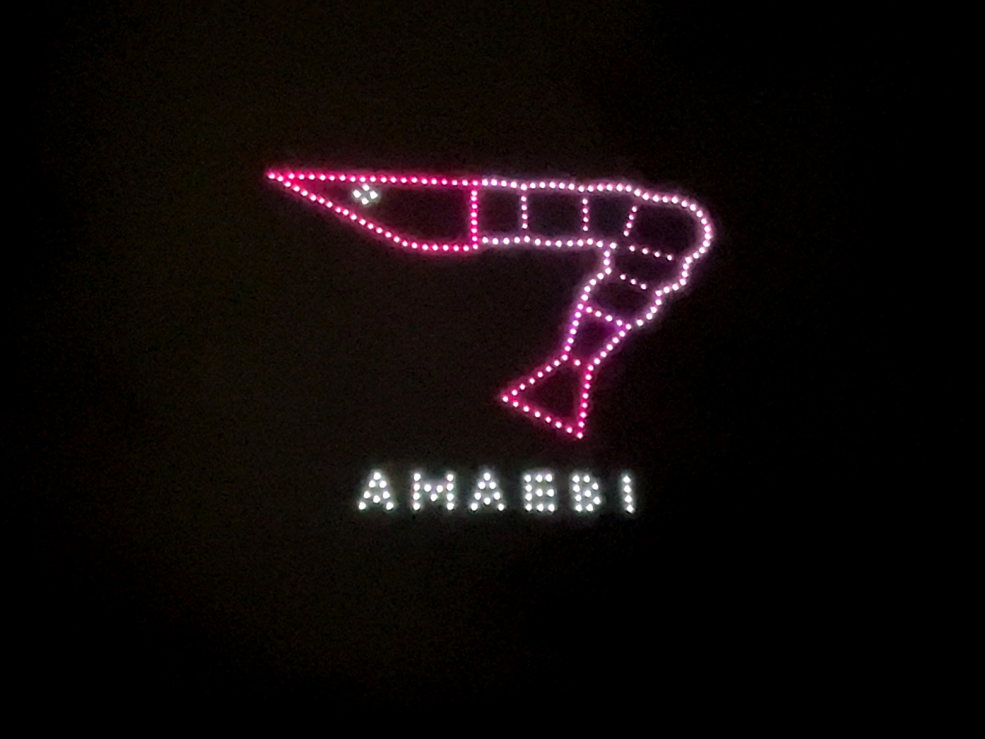 ドローンで描かれた甘エビ