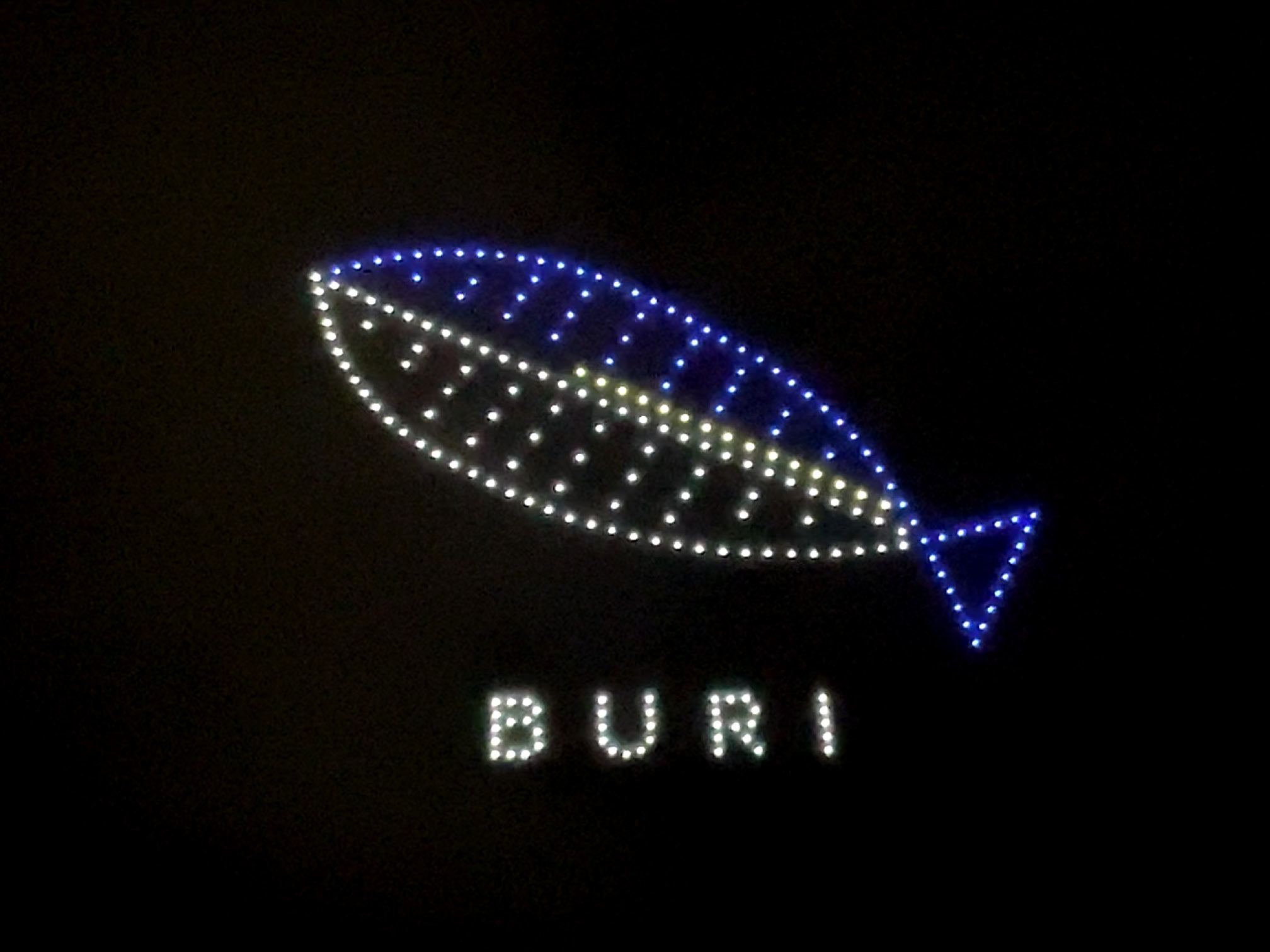 ドローンで描かれたブリ