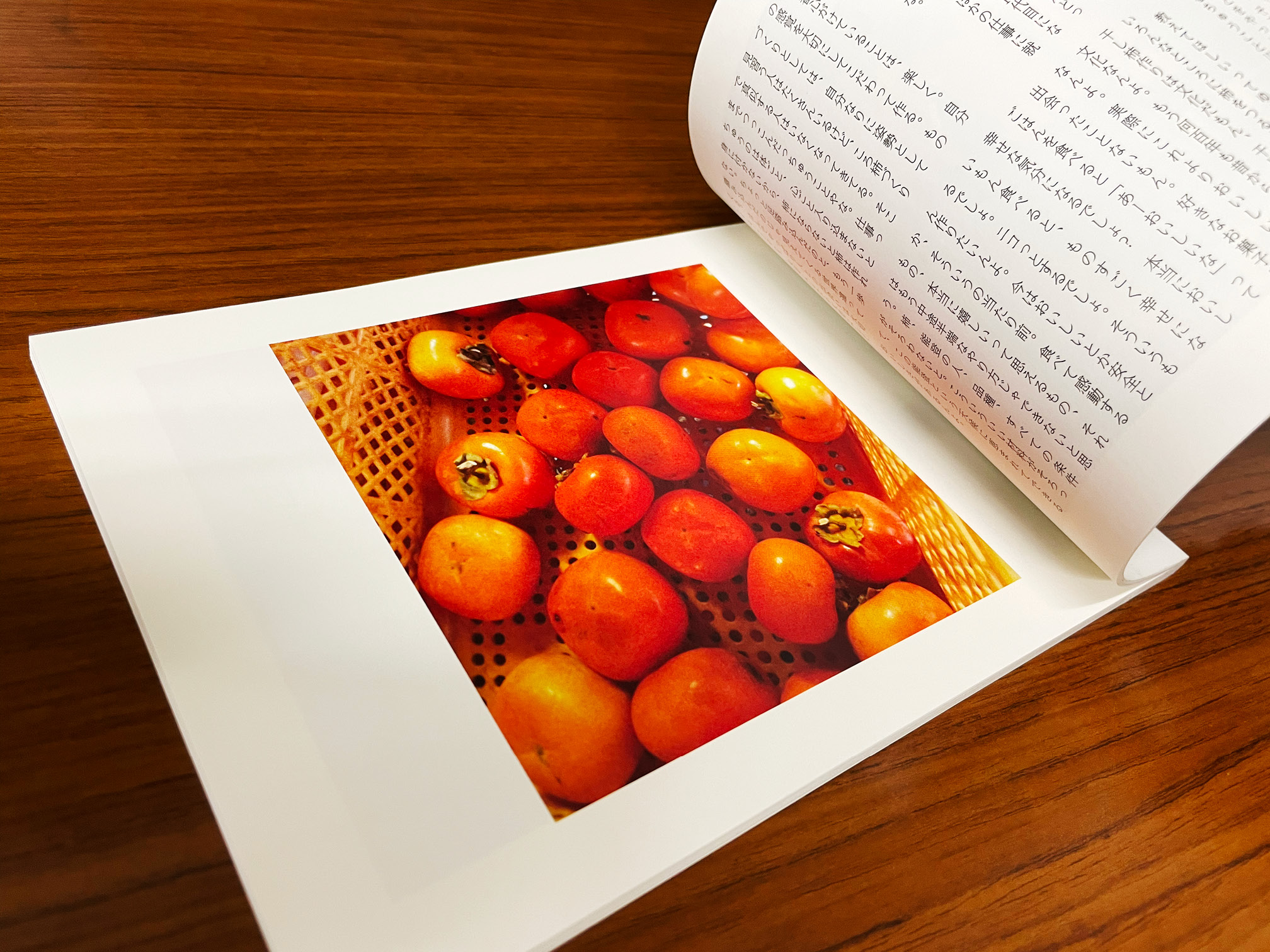 能登復興支援冊子『ノトアリテ』ころ柿のページ