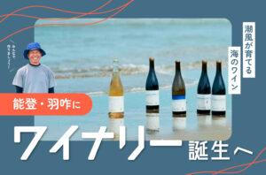 能登・羽咋の海辺にワイナリー誕生へ！ 潮風が育てる「海のワイン」と、ゼロからの挑戦。応援メンバー募集中！