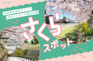 まとめ｜金沢の春を満喫しよう！地元ライターおすすめのお花見スポット♪