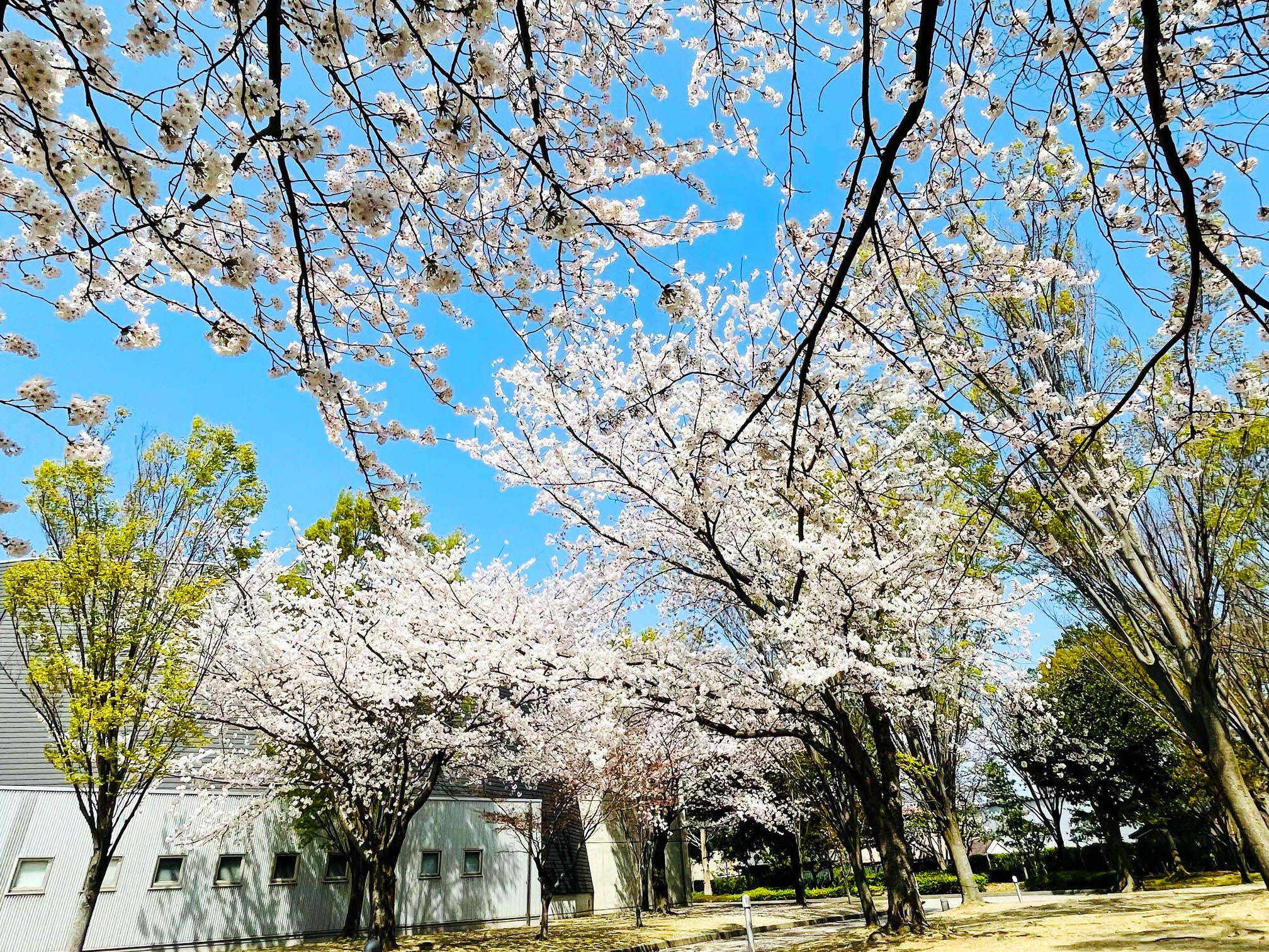 金沢市民芸術村
